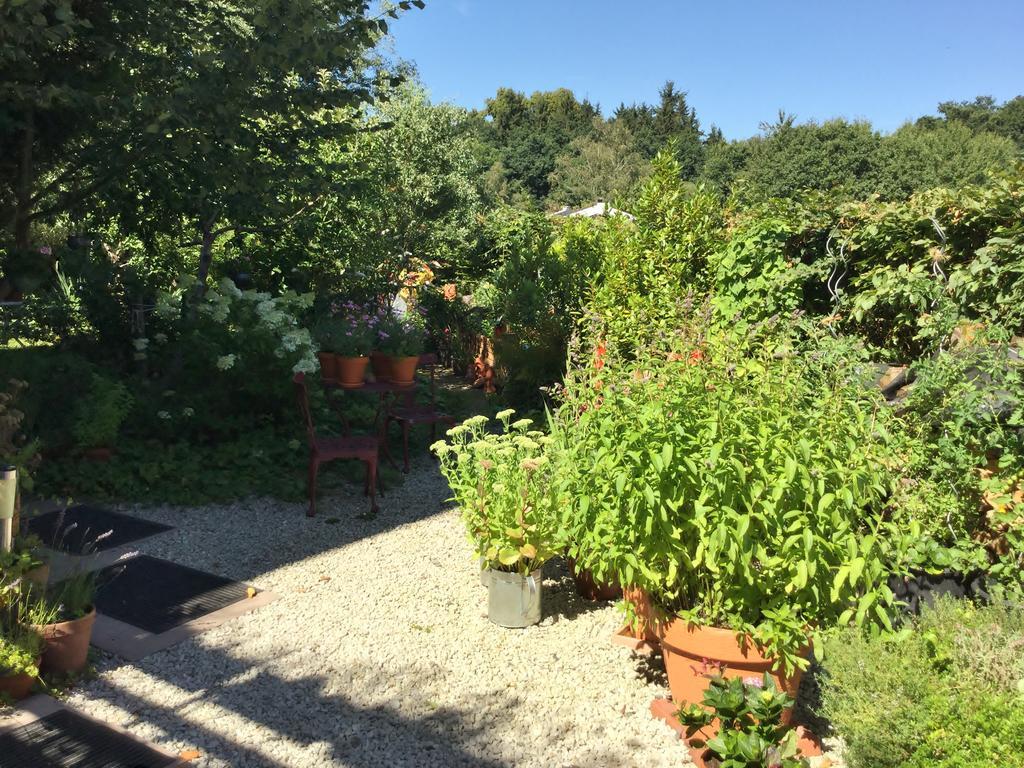 Ferienwohnung Hering In Dill Exterior foto