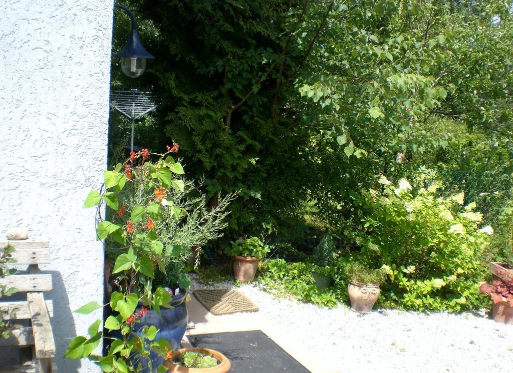 Ferienwohnung Hering In Dill Quarto foto