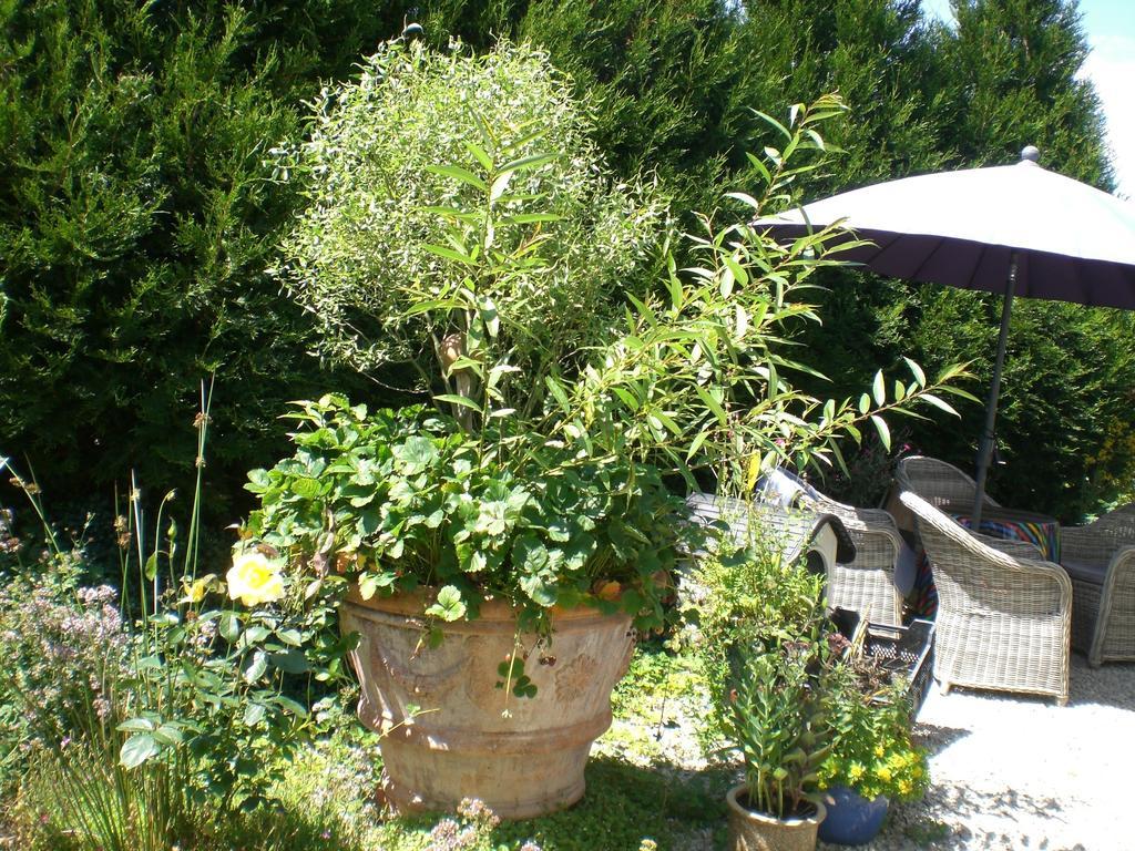 Ferienwohnung Hering In Dill Quarto foto